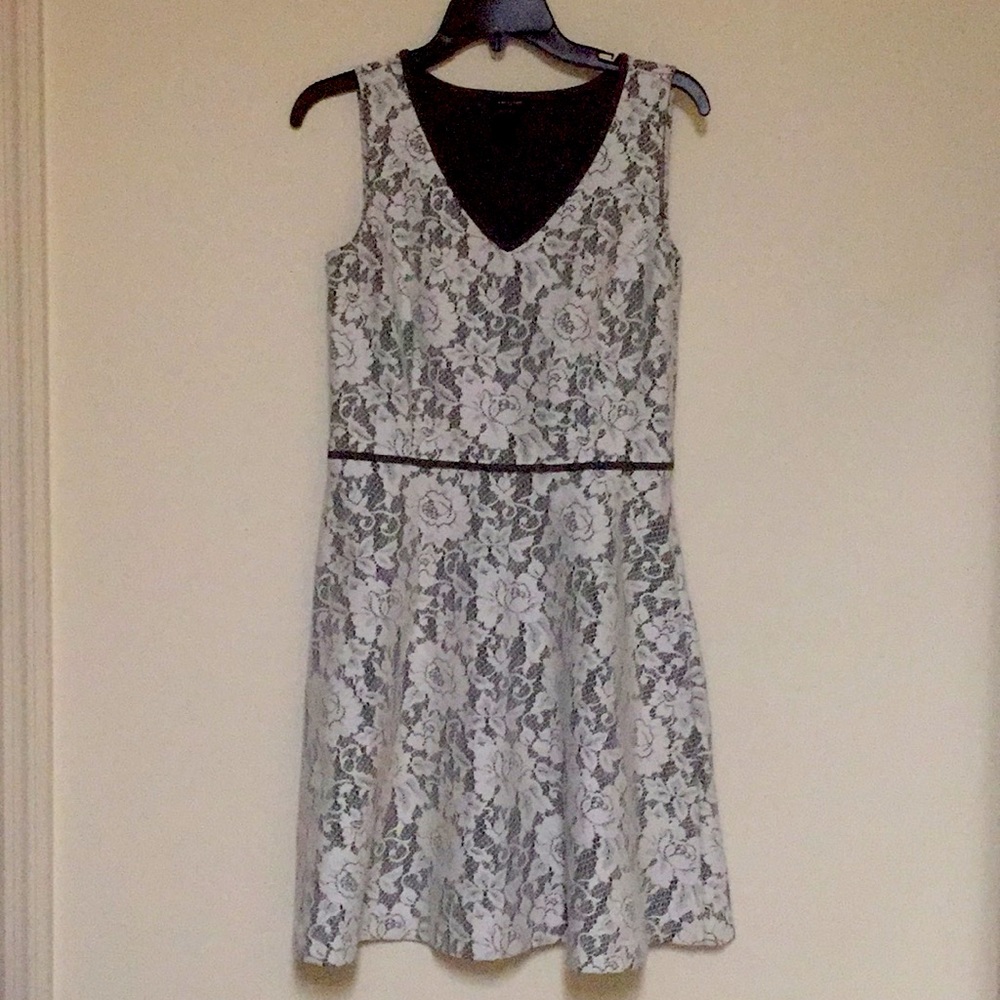 Ann Taylor A Line Lace Dress